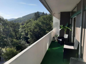 Ferienwohnung Harzmonie